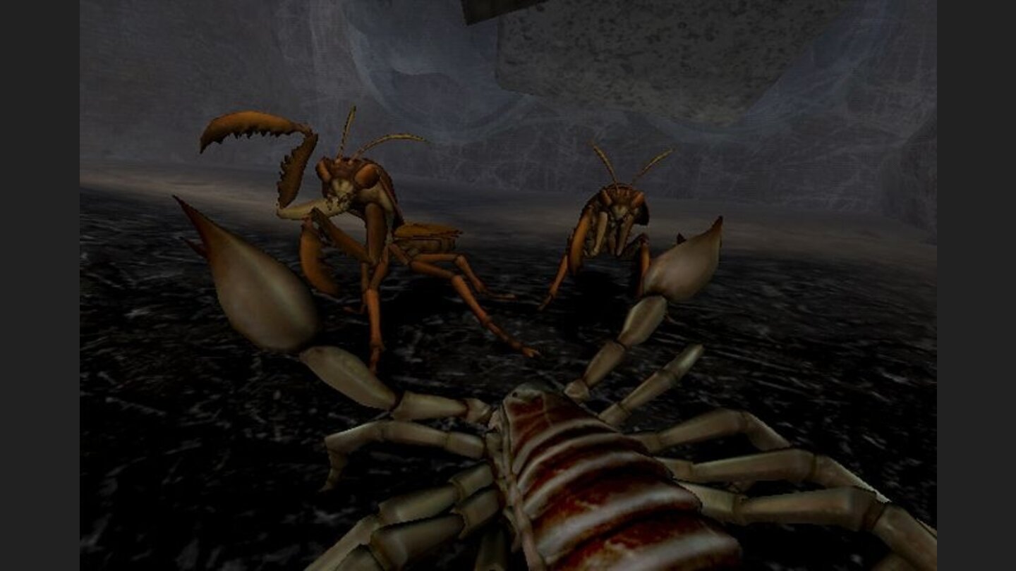 deadly_creatures_wii_006