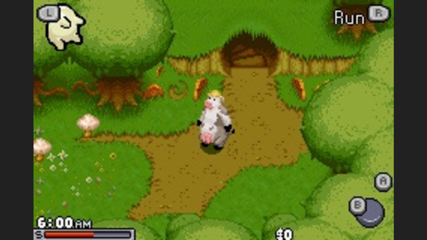 Der tierisch verrückte Bauernhof gba 1