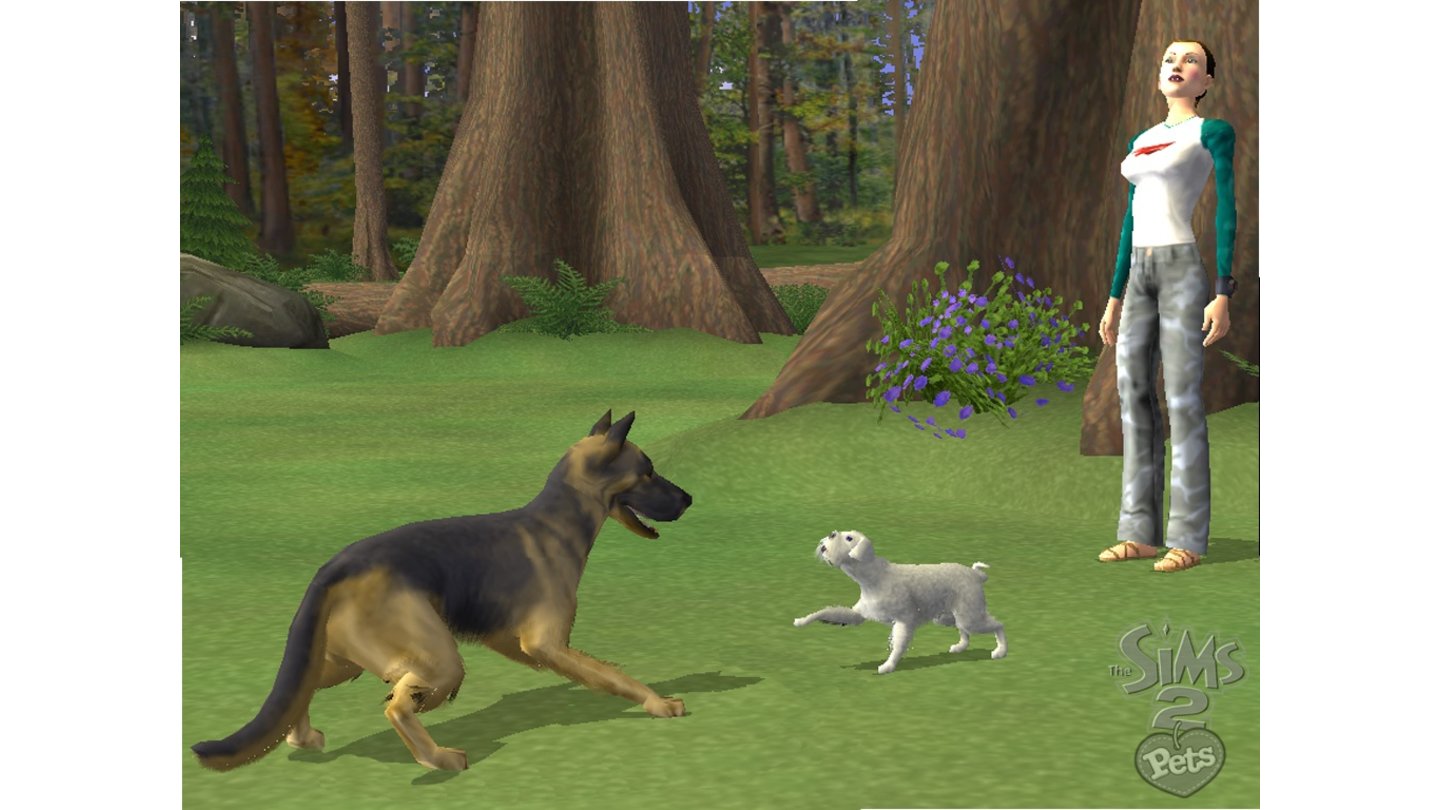 Die Sims 2 Haustiere2
