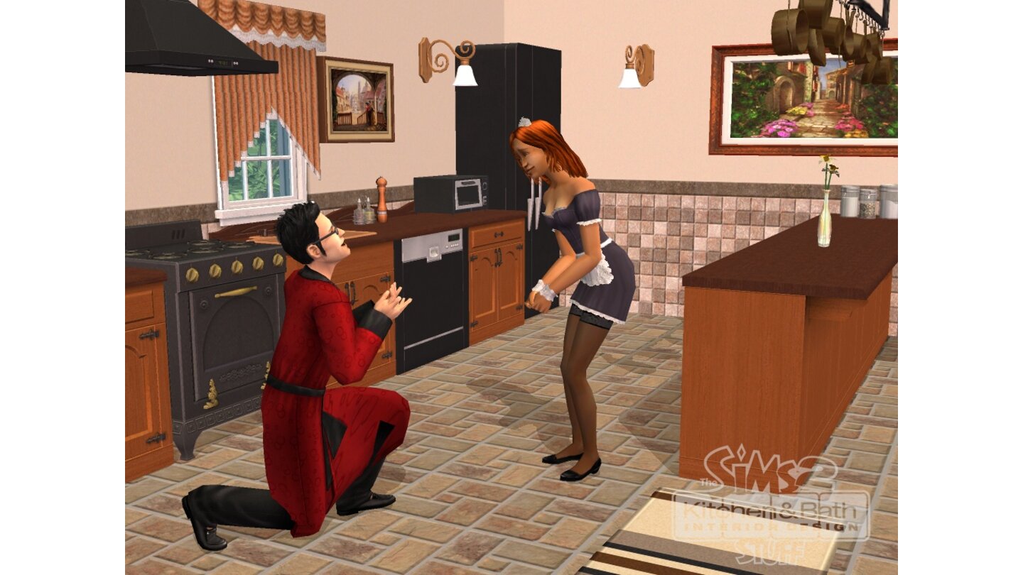 Die Sims 2 Küchen- und Bad-Einrichtungs-Accessoires 7