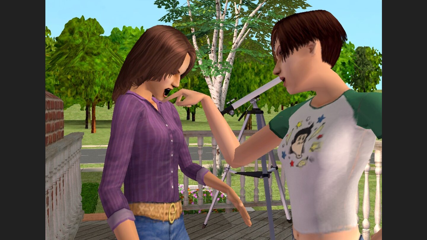 Die Sims Lebensgeschichten 3