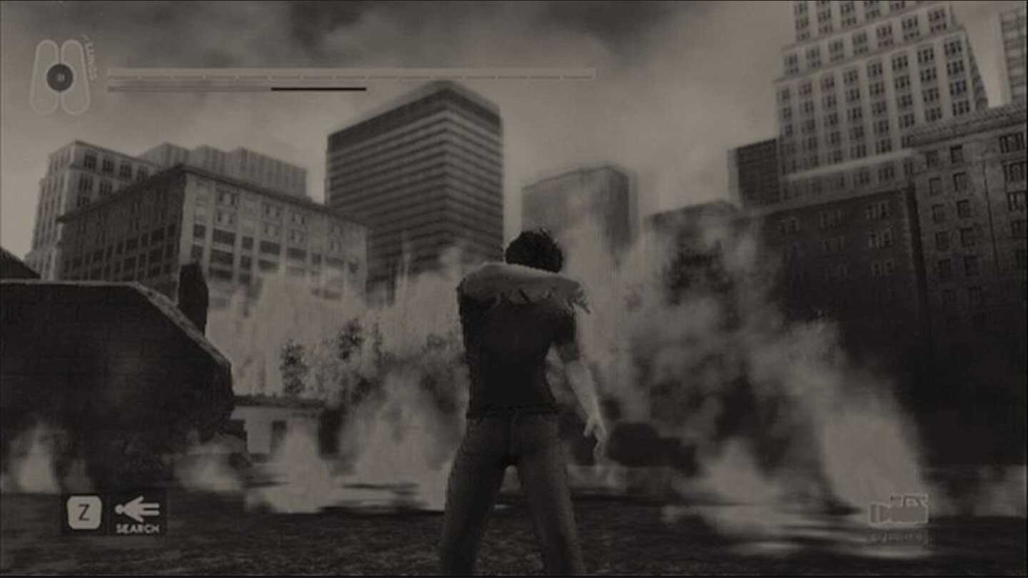 disaster_doc_wii_001
