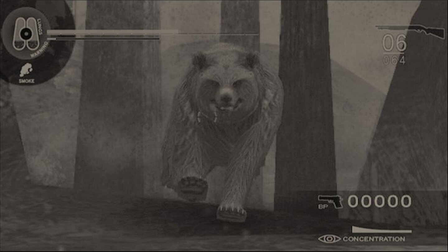 disaster_doc_wii_002