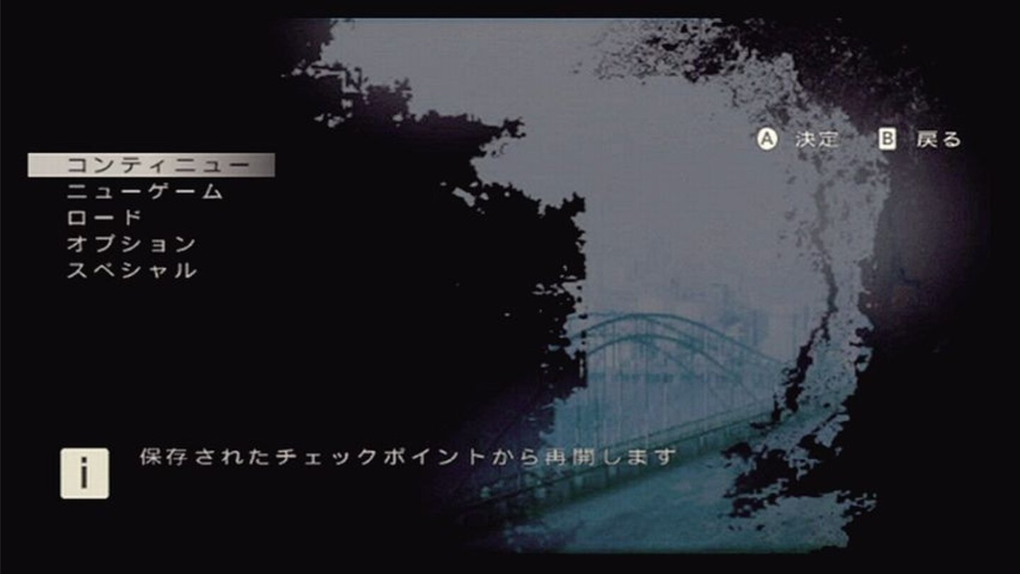 disaster_doc_wii_007