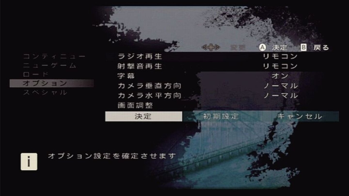disaster_doc_wii_009