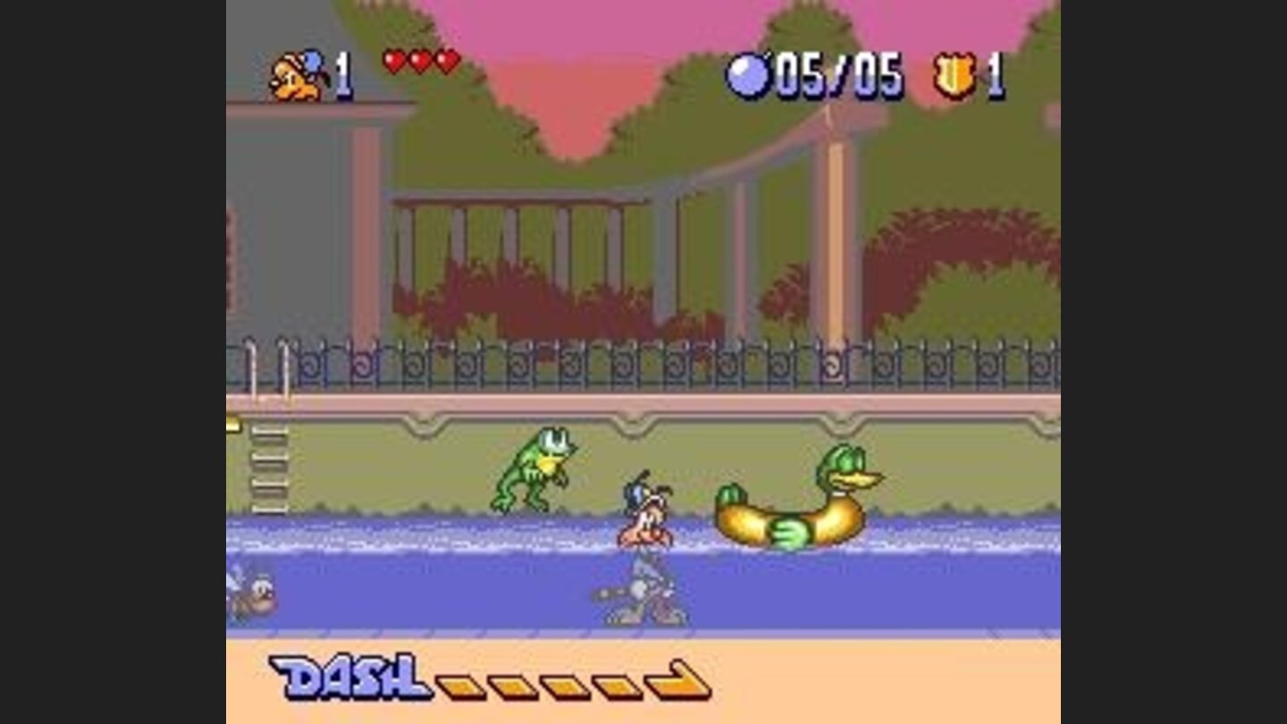 Playing with toy ducks, Bonkers?