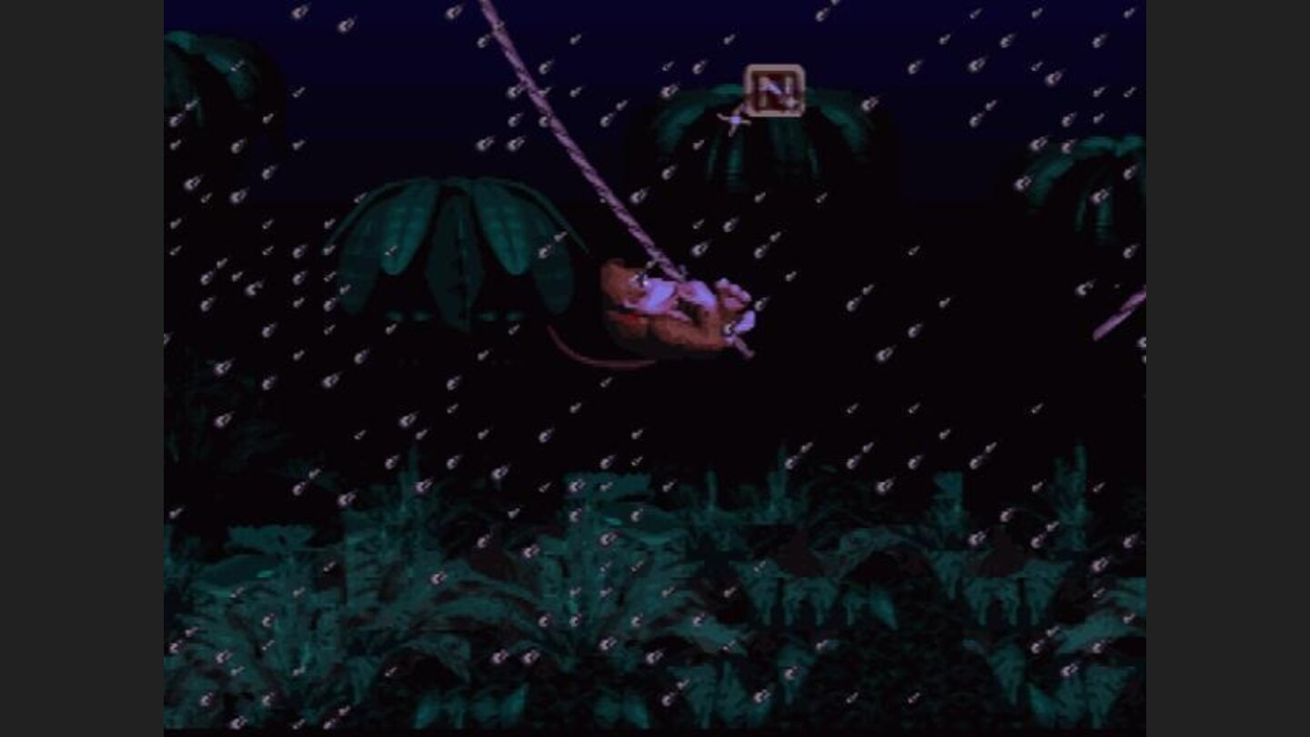 Monkeys swinging on the rope!