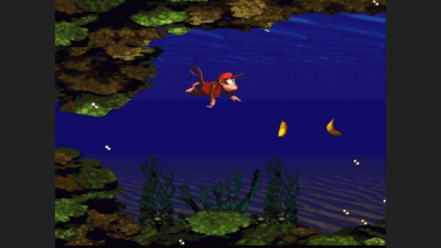 Underwater level