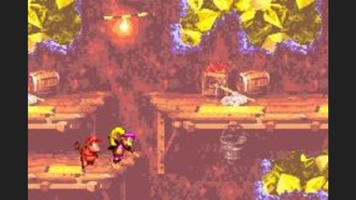 Fall or not to fall... Thats the question, Dixie!