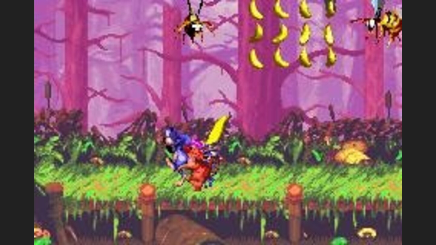A fool cat grabs some little apes with your tails. Can they escape of this trap?