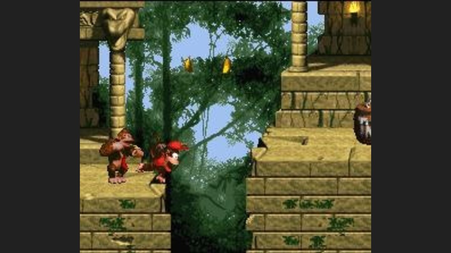 A leap of faith... or DEATH?