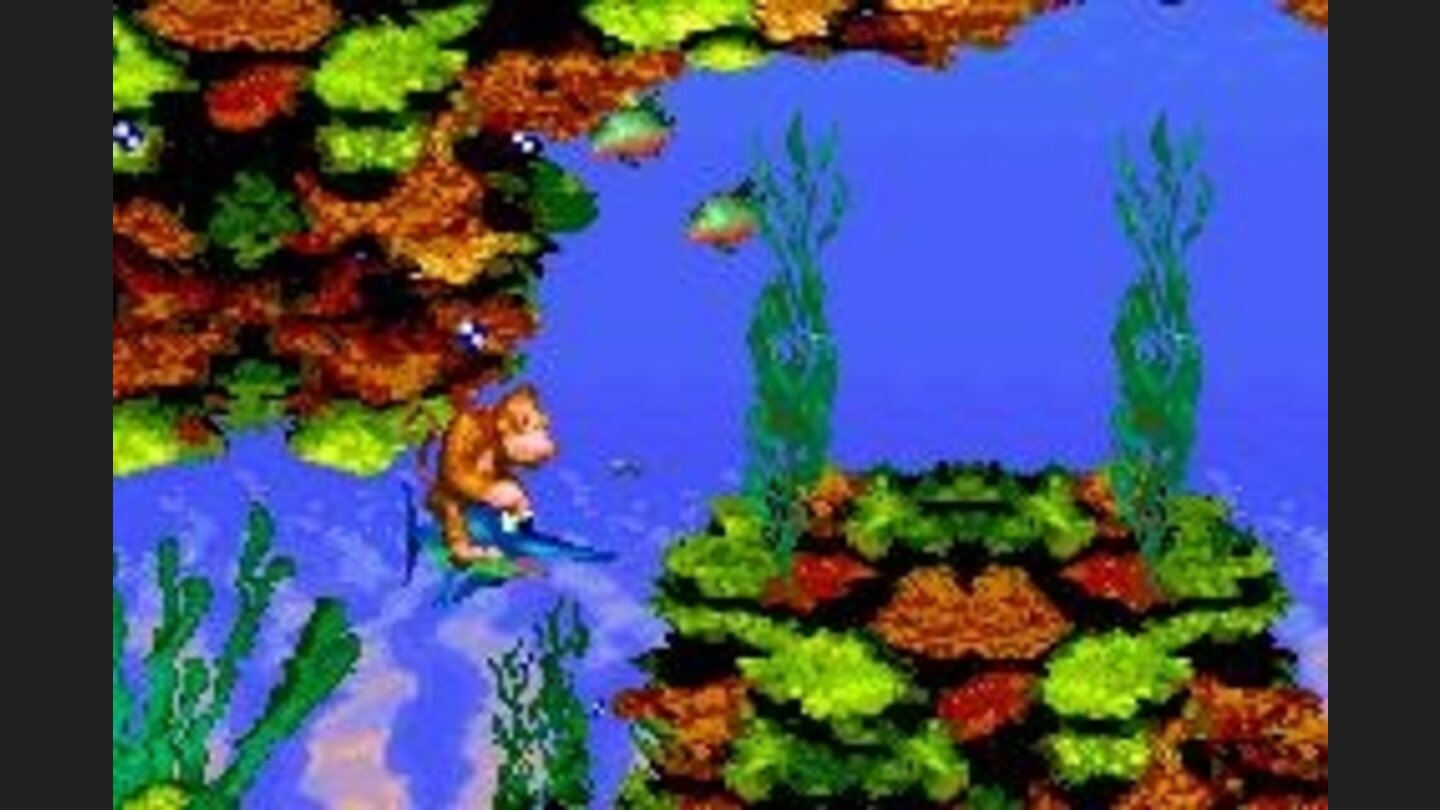 With the help of Enguarde in water levels, the adventure betters more!