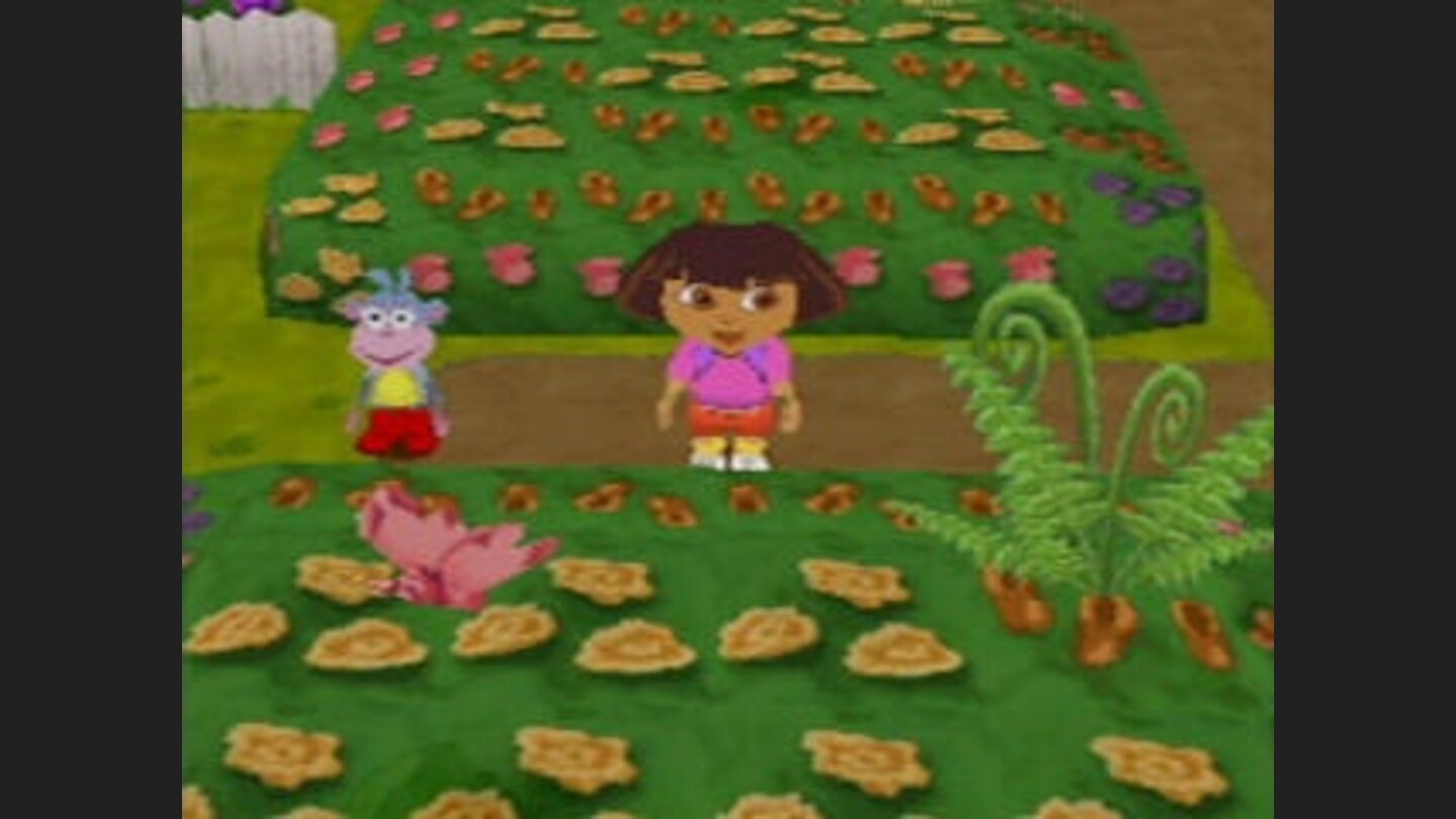 Butterfly Garden