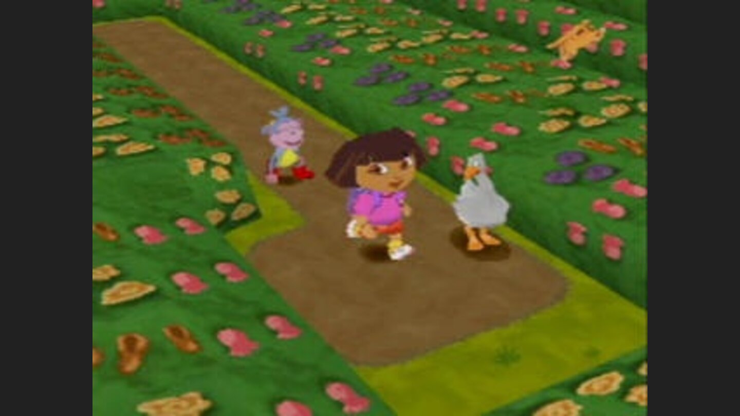 Butterfly Garden Goose