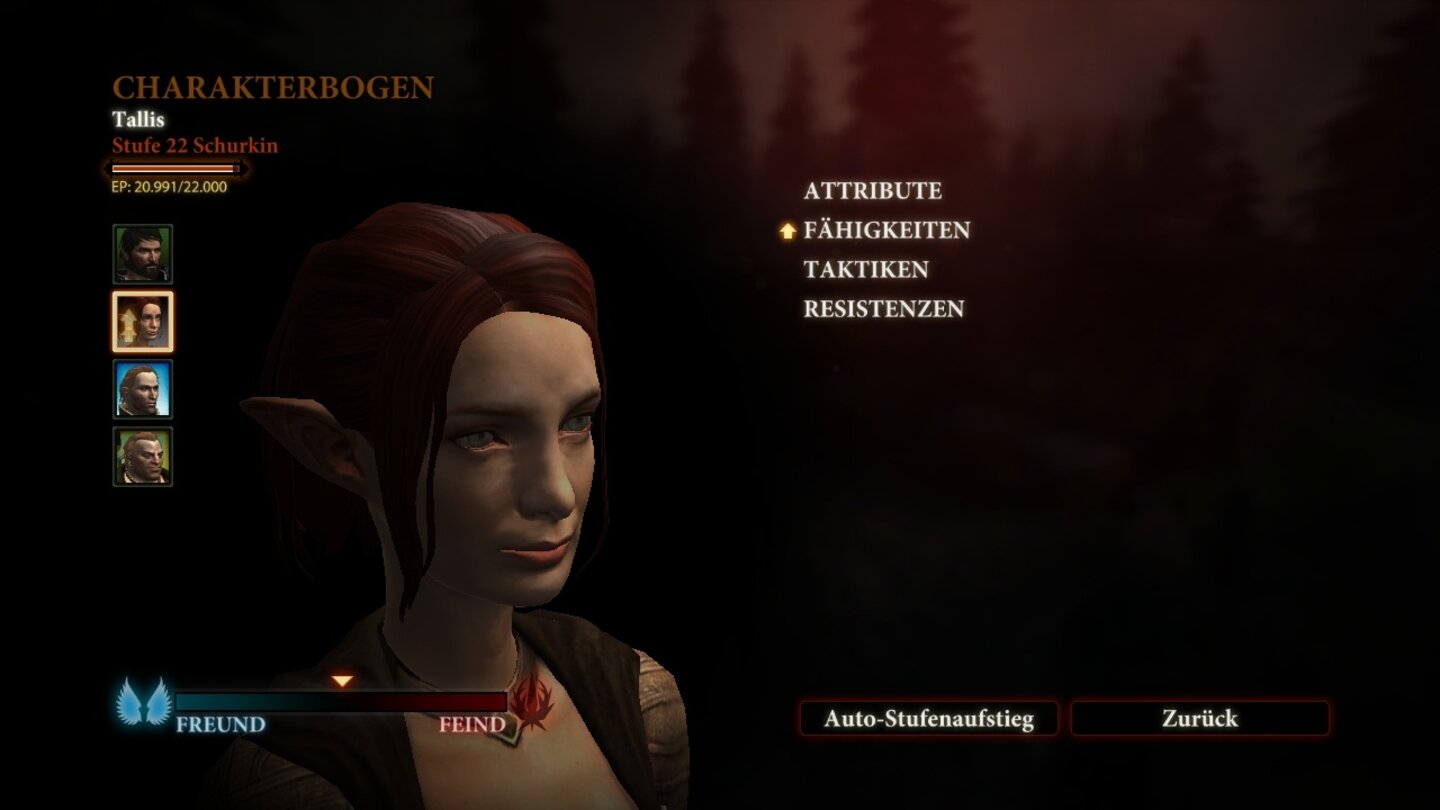 Dragon Age 2: Mark of the Assassin