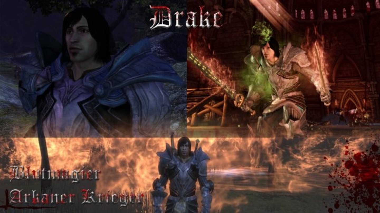 Dragon Age: Origins - Drake von Max Seibold