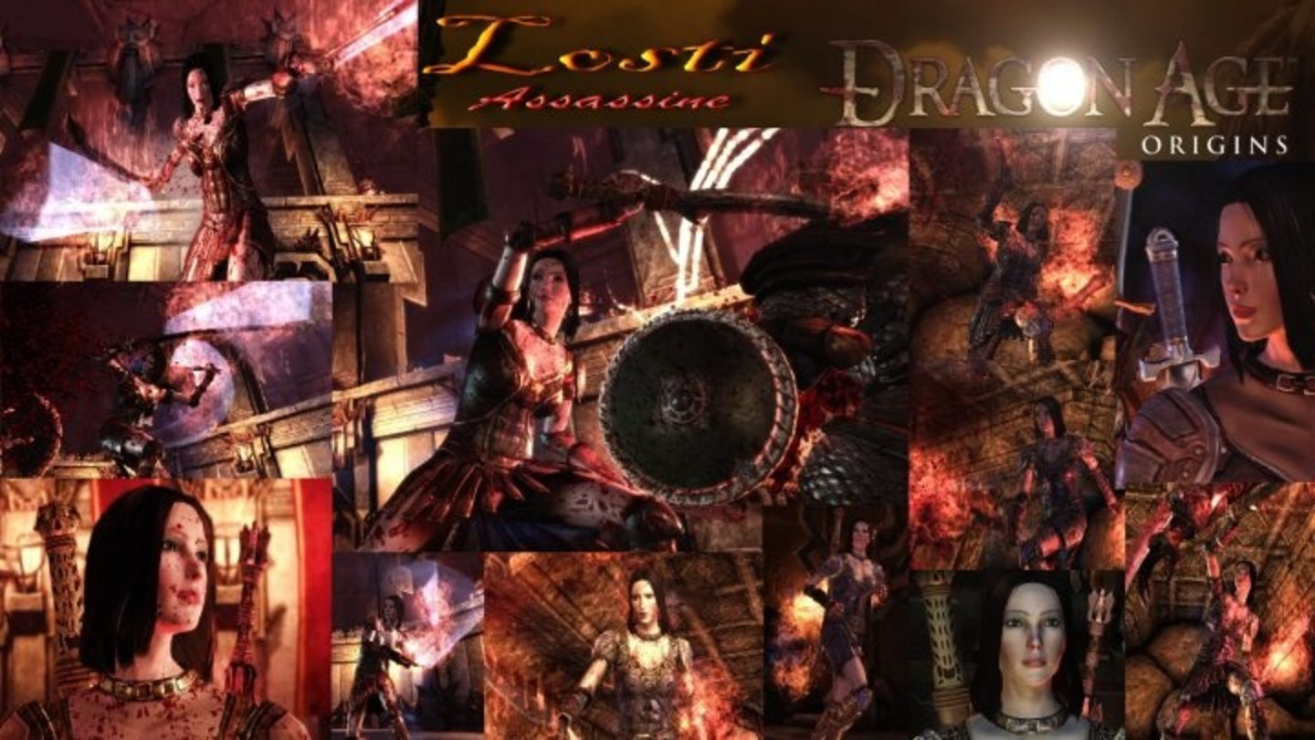 Dragon Age: Origins - Losti von Christian Rautenberg