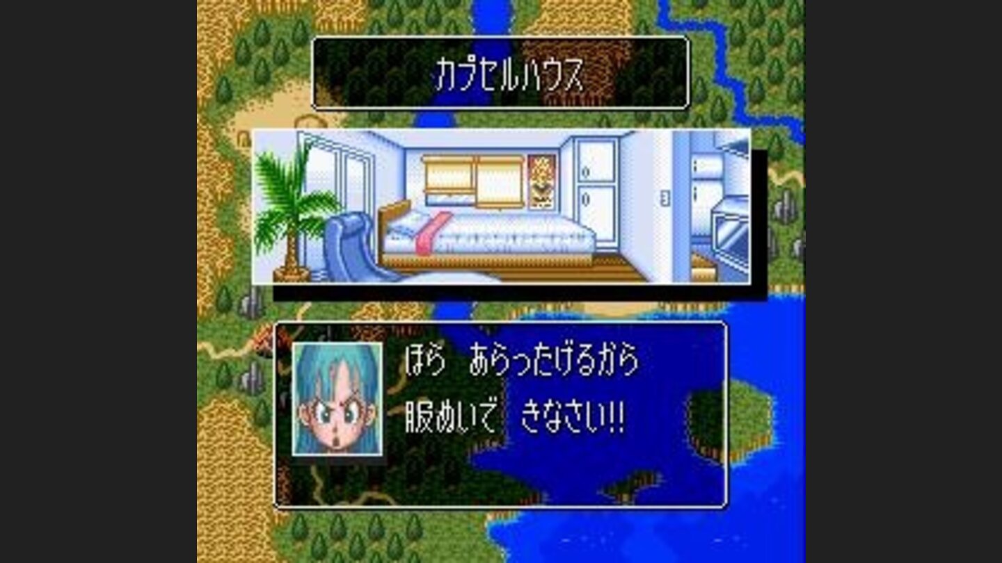 Bulma is angry