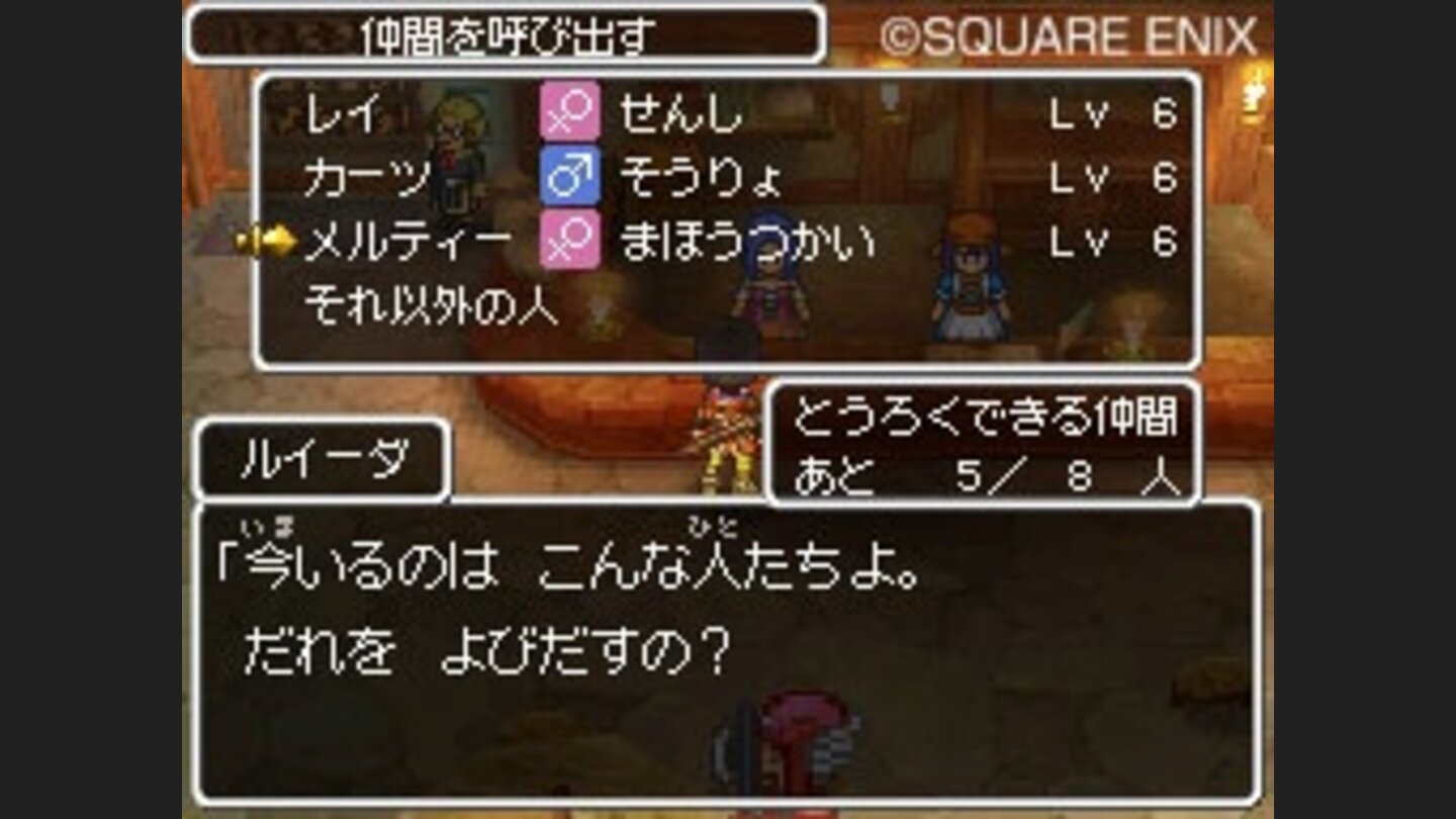 Dragon Quest IX 10