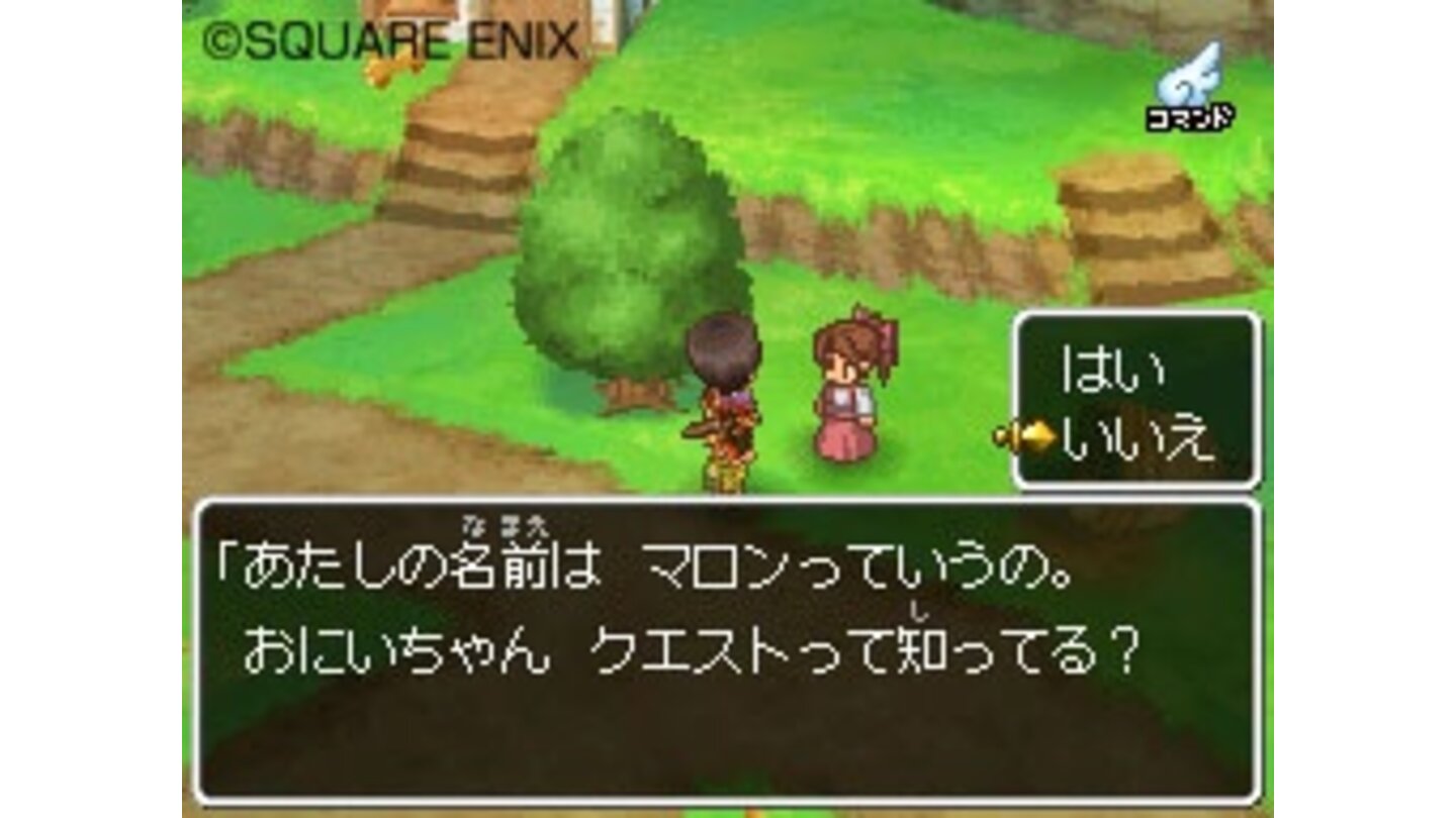 Dragon Quest IX 2