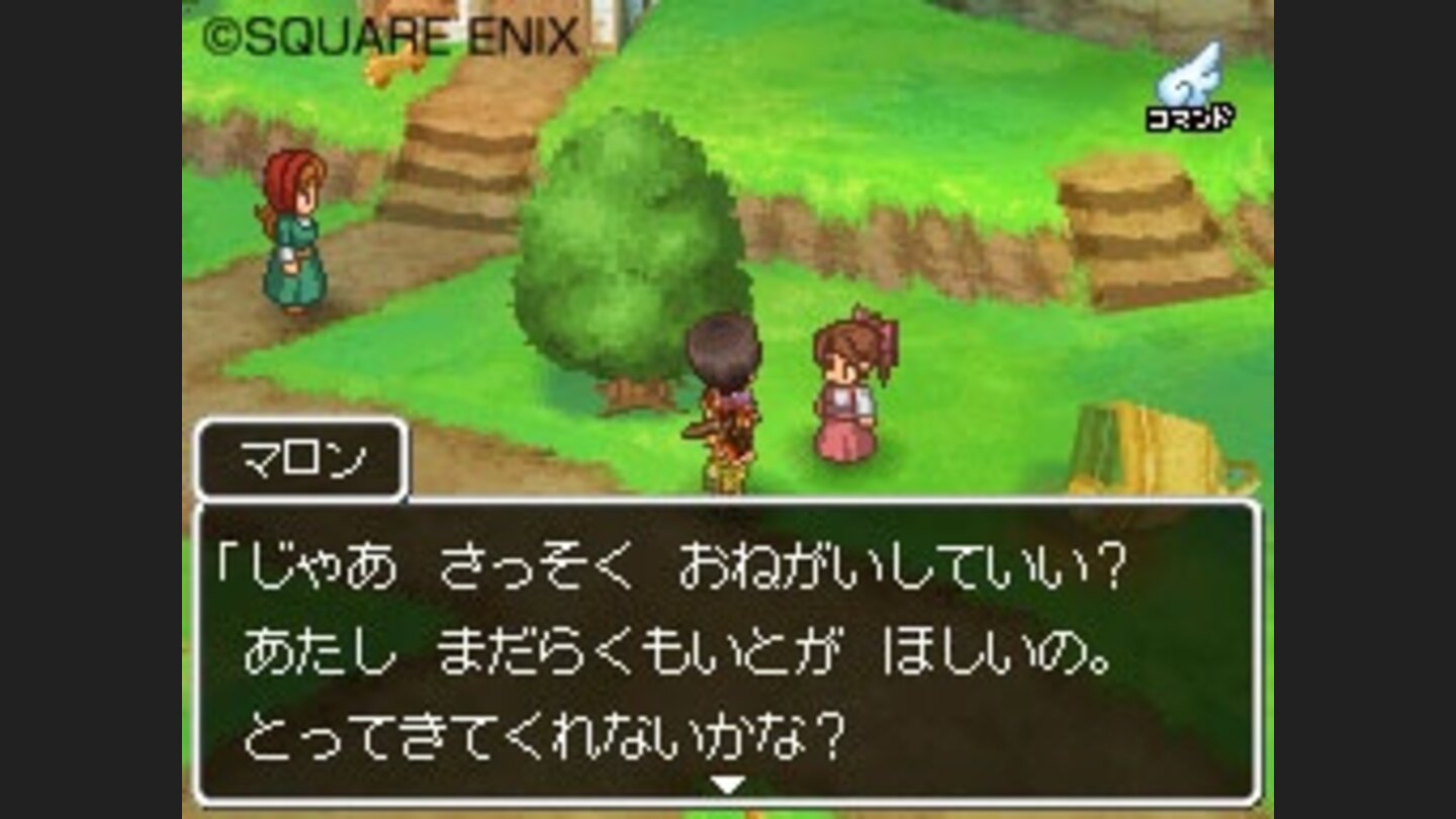 Dragon Quest IX 5