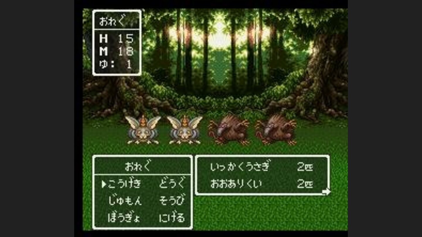 Another beautiful scenery - forest