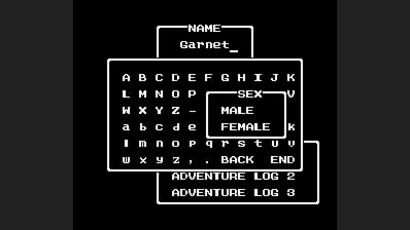 You can choose your characters sex!