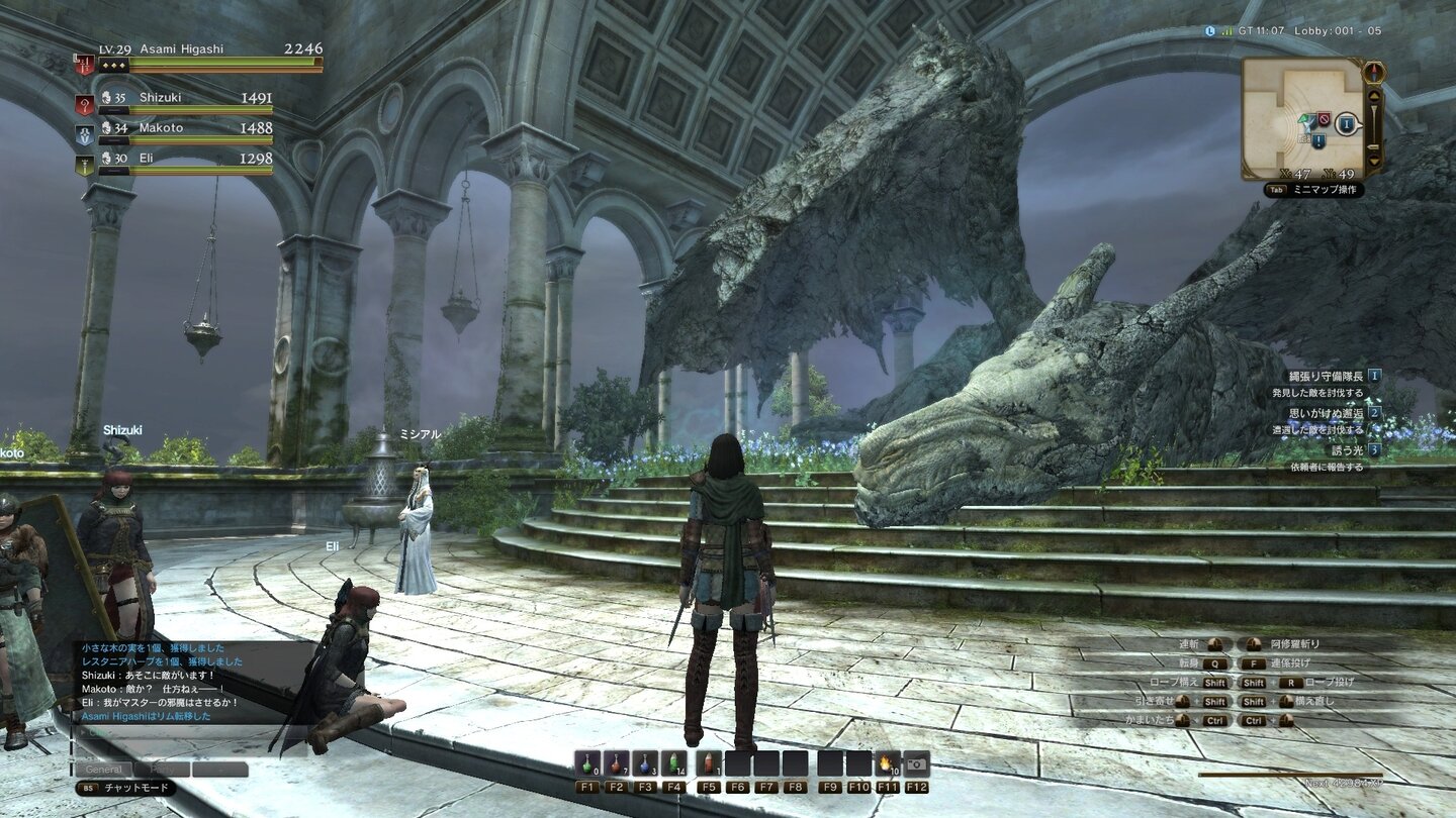 Dragon's Dogma Online