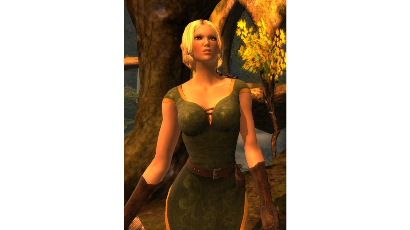 Gwendala – die bildhübsche Elfe gehört in Drakensang zur Begleitergruppe des Helden. Diesmal schließt sie sich nicht an, benötigt aber Hilfe bei einer Suche.