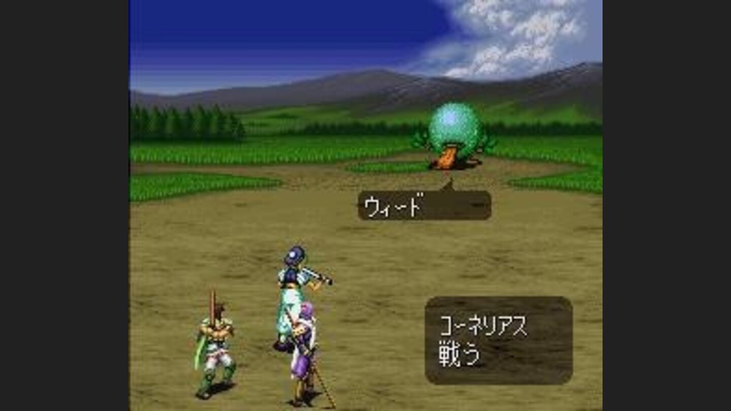 Random battle with a beautiful background