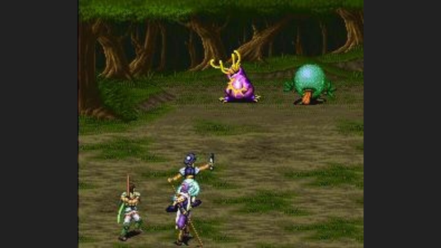 Random battle in forest