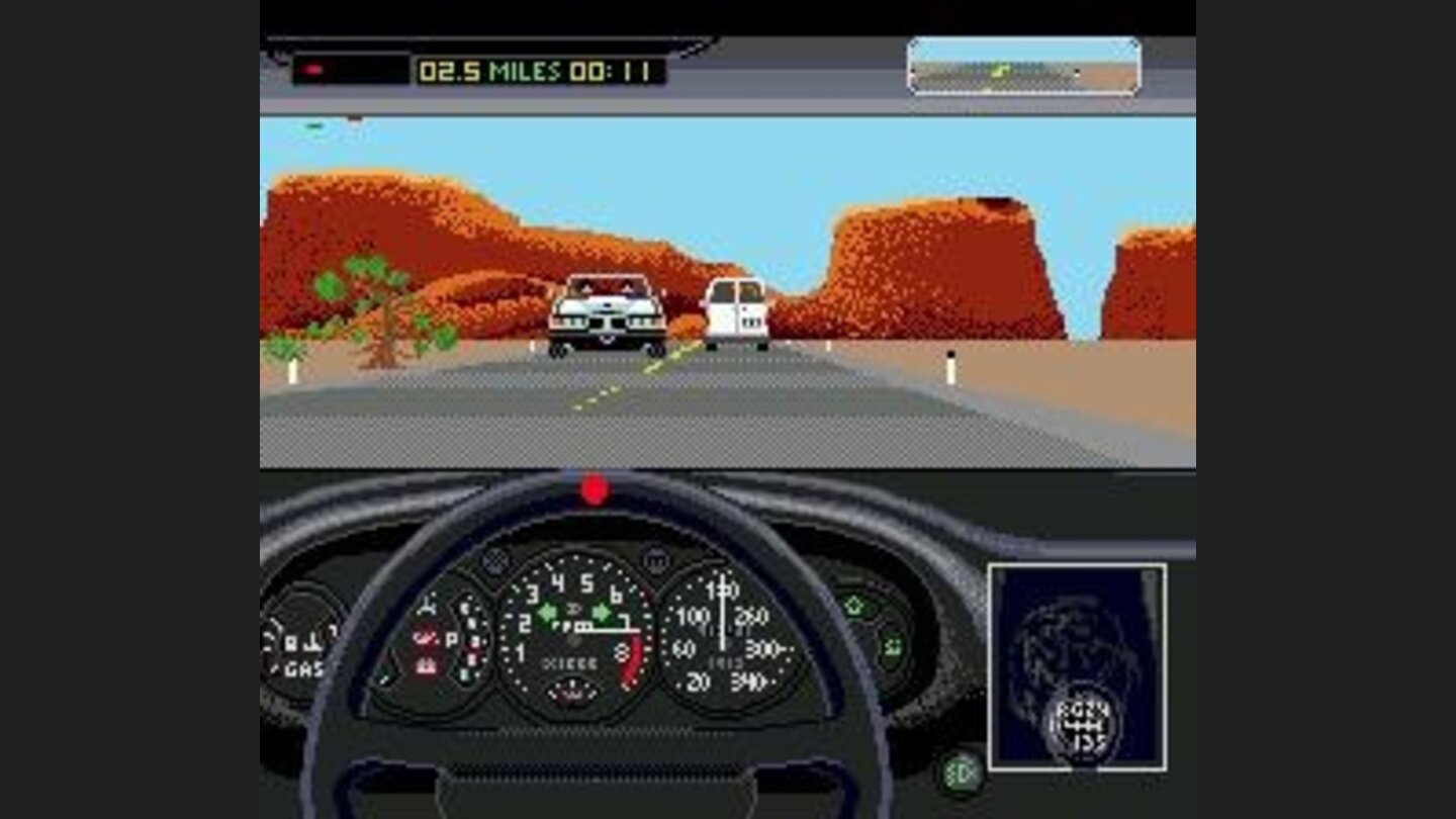 Nice cactusdesert scenery