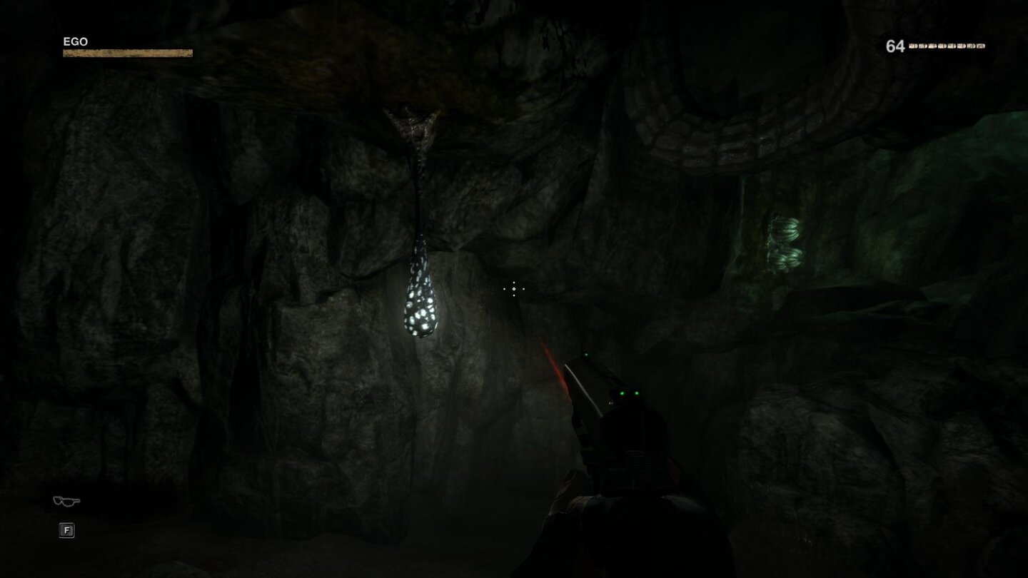 Duke Nukem Forever Maximale Details