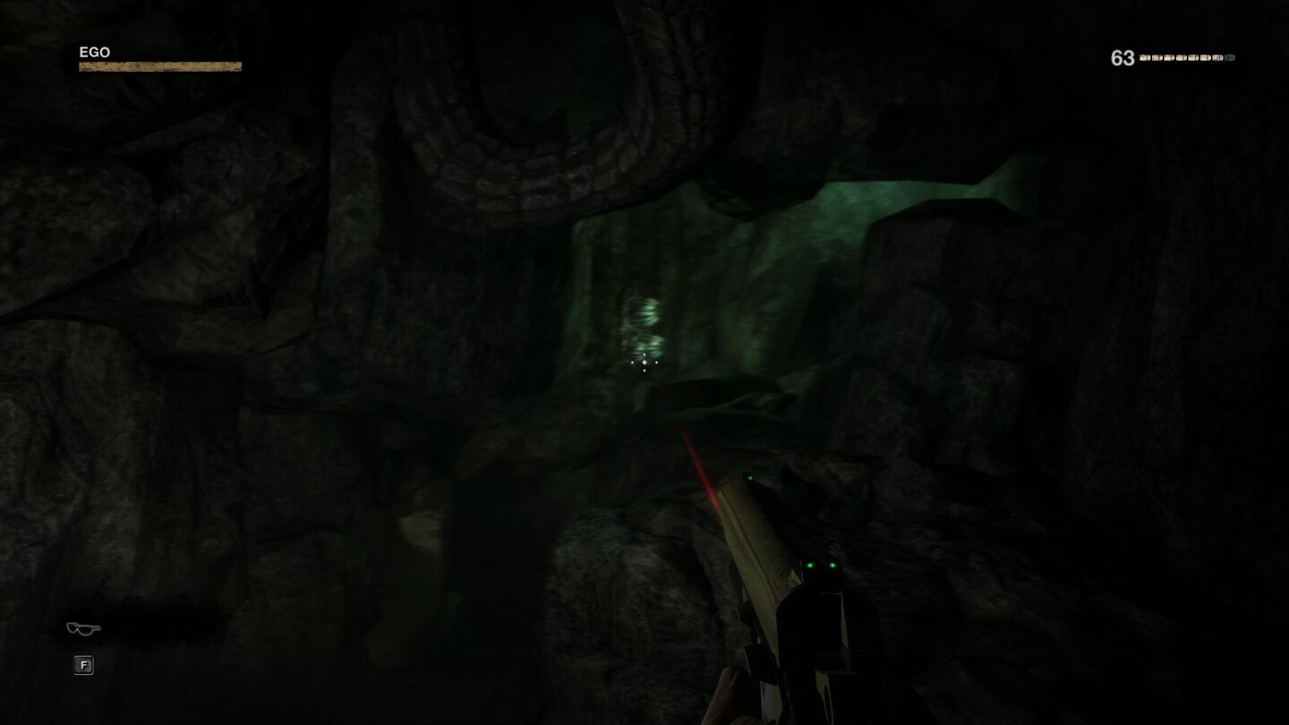 Duke Nukem Forever Maximale Details