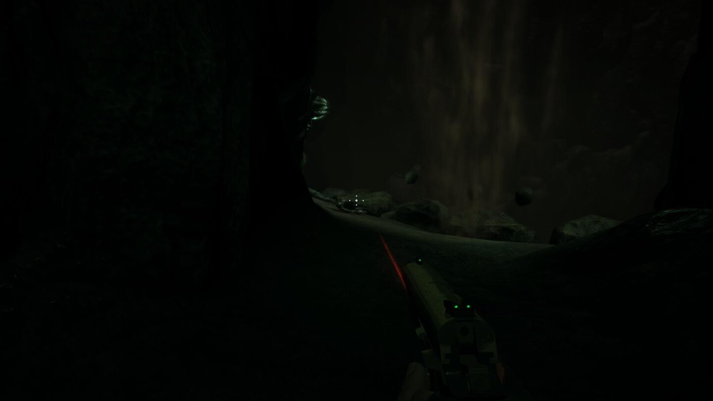 Duke Nukem Forever Maximale Details