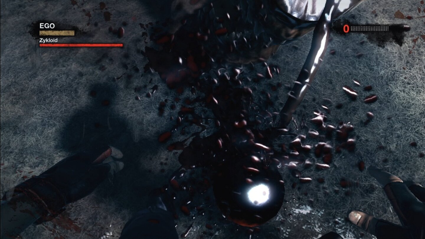 Duke Nukem Forever