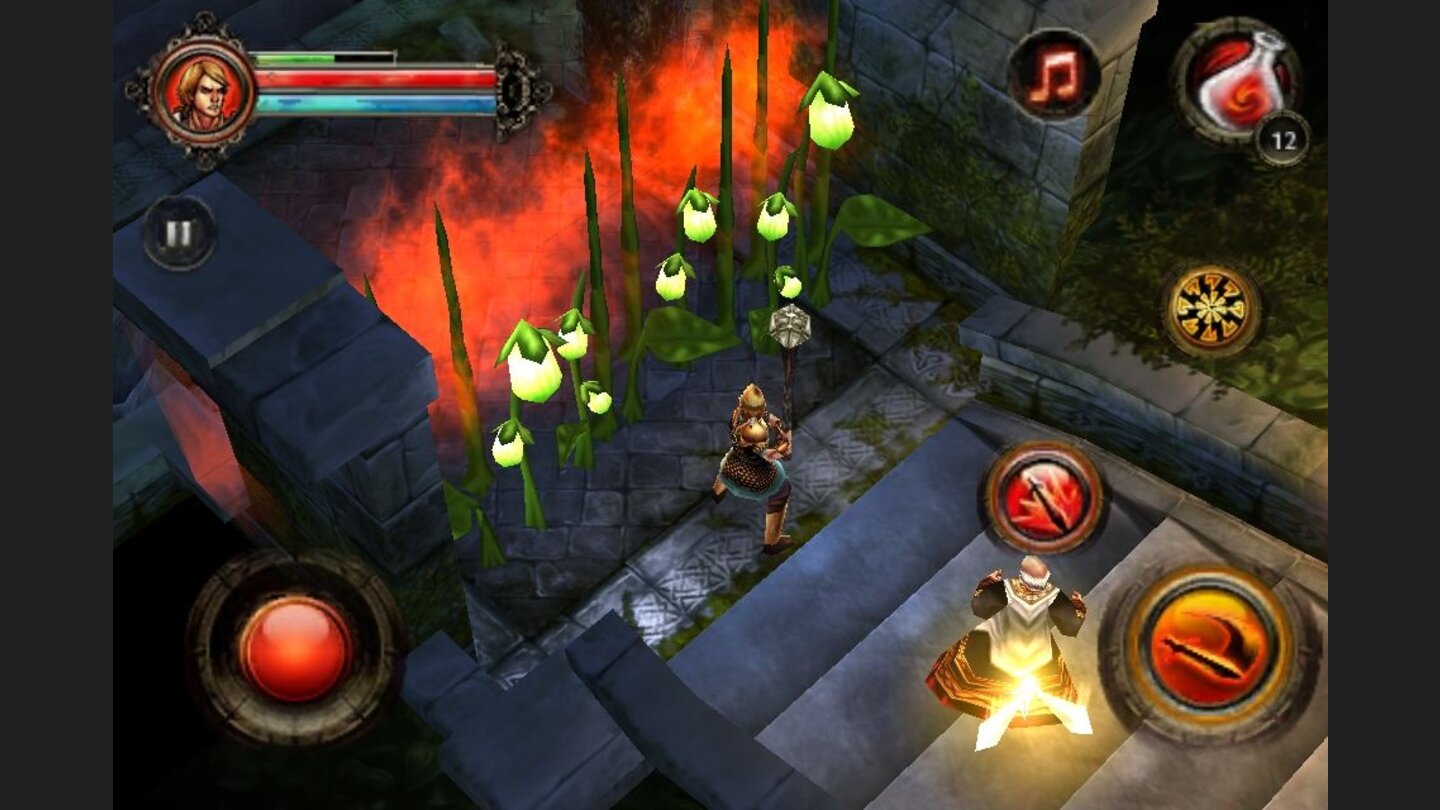 Dungeon Hunter 2 14