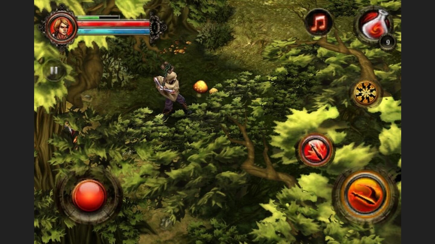Dungeon Hunter 2 16