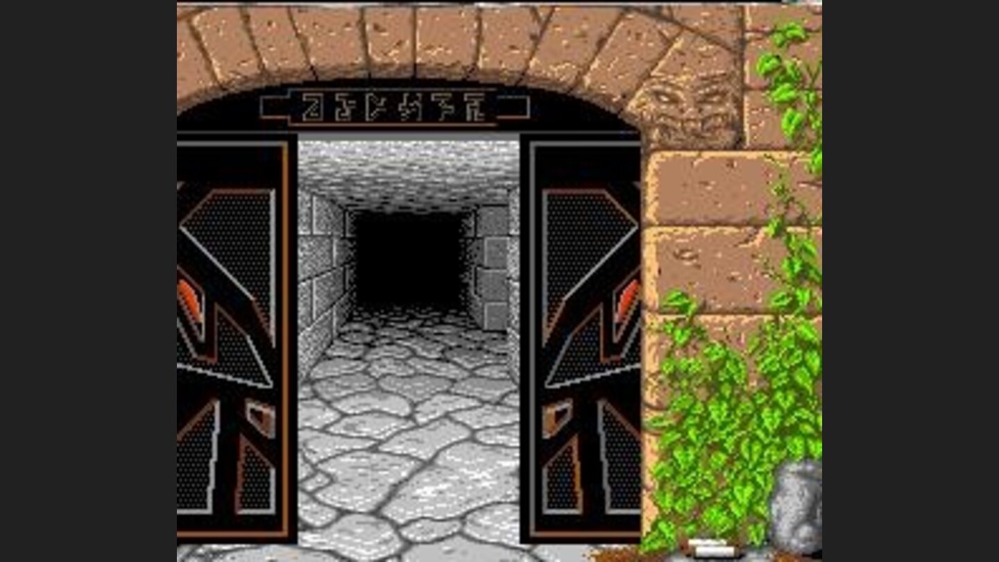 Entering the dungeon