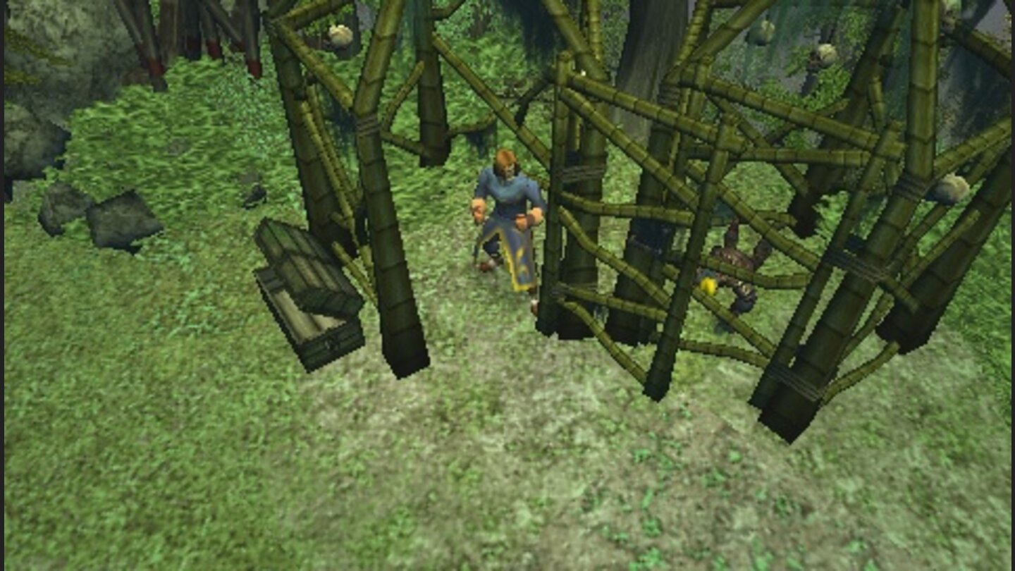 DungeonSiegeThroneofAgony 2