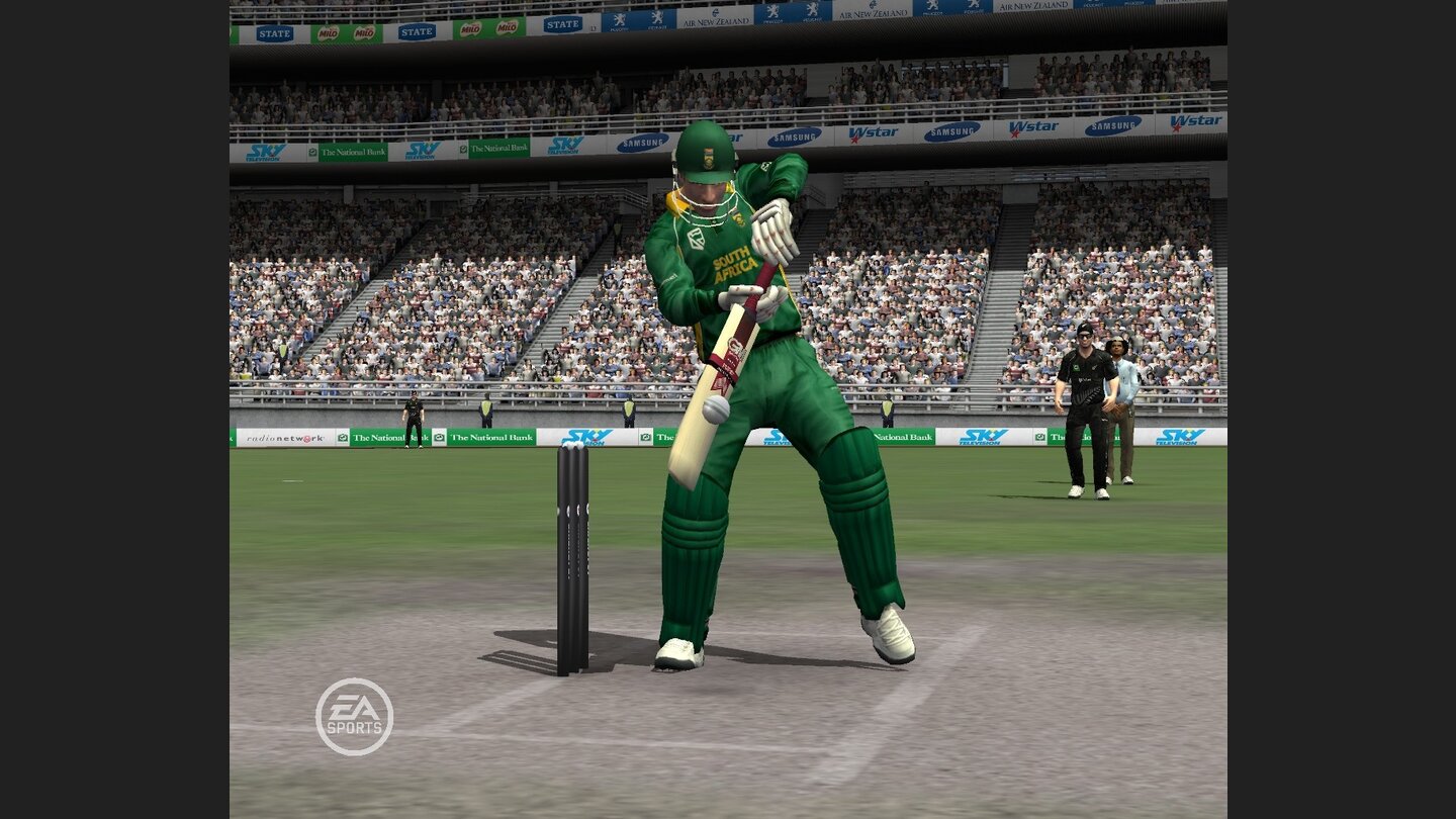EA Sports Cricket 07 29