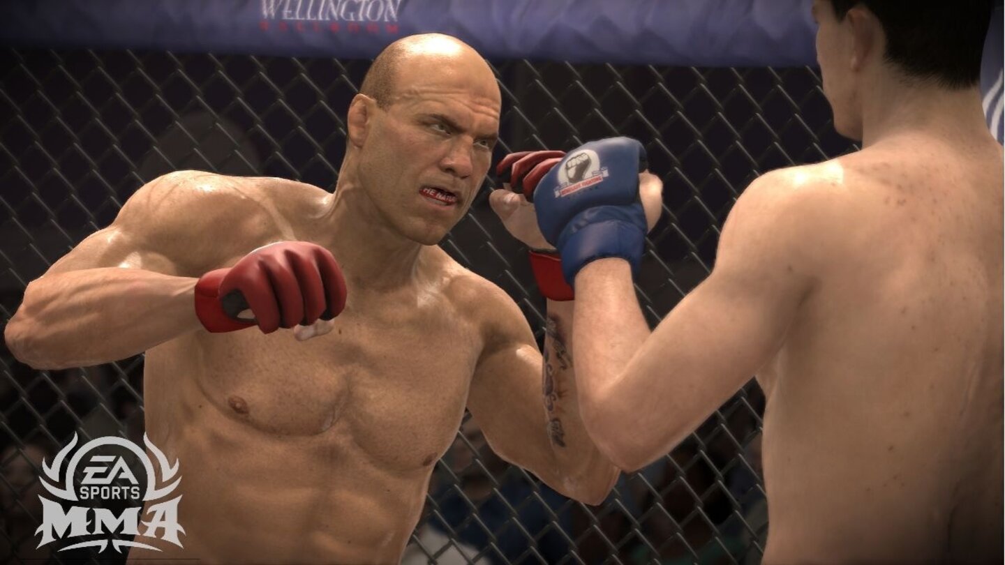 EA Sports MMA