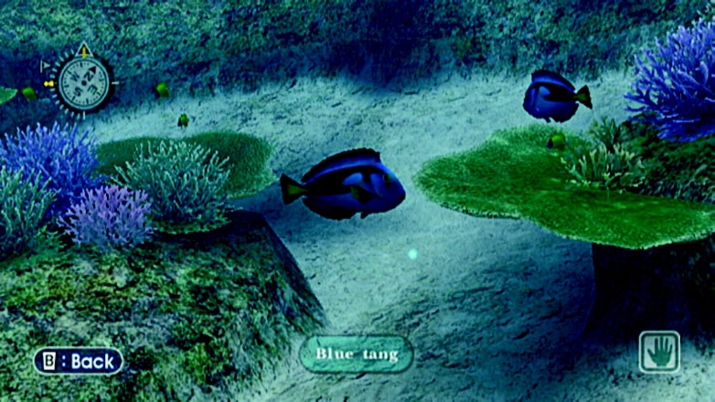 EndlessOceanWii-11513-634 7