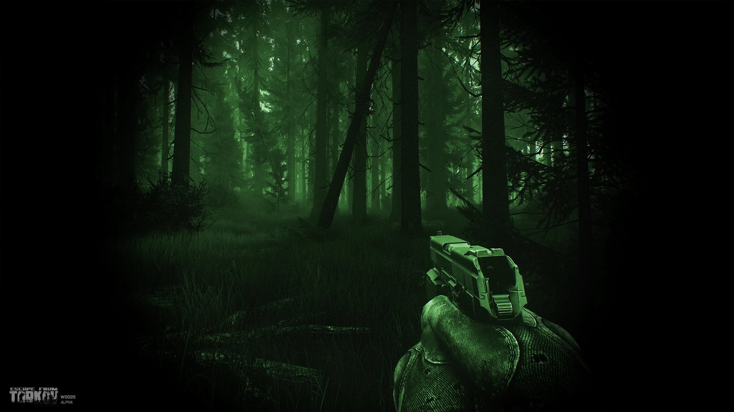 Escape from Tarkov - Screenshots aus der Forest-Region