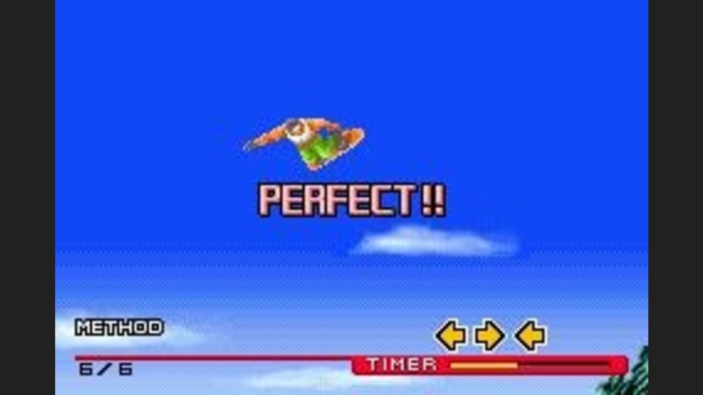 How well can you do your tricks?