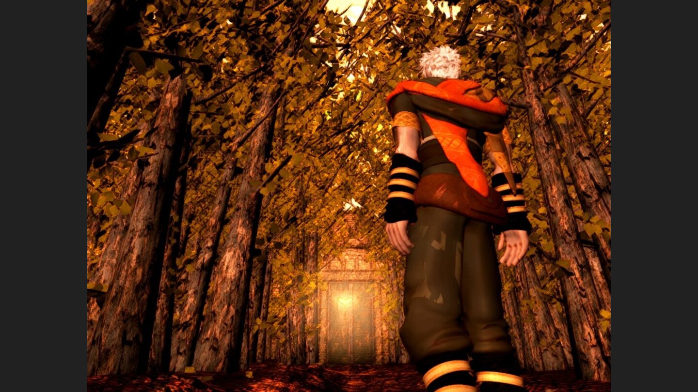 EvergracePS2-8644-350 1