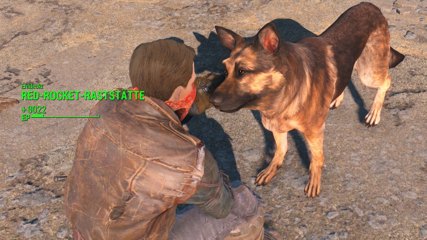 Fallout 4 (PC)Zugegeben, Dogmeat ist kein besonders schöner Name, aber den Hund nur … Hund zu nennen, wirkt lieblos.