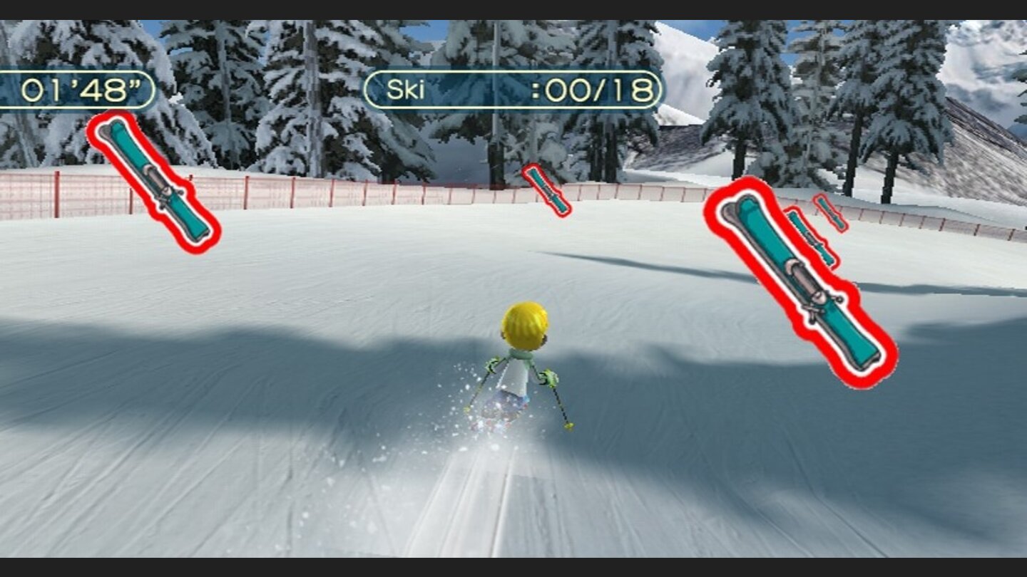 Family Ski 8