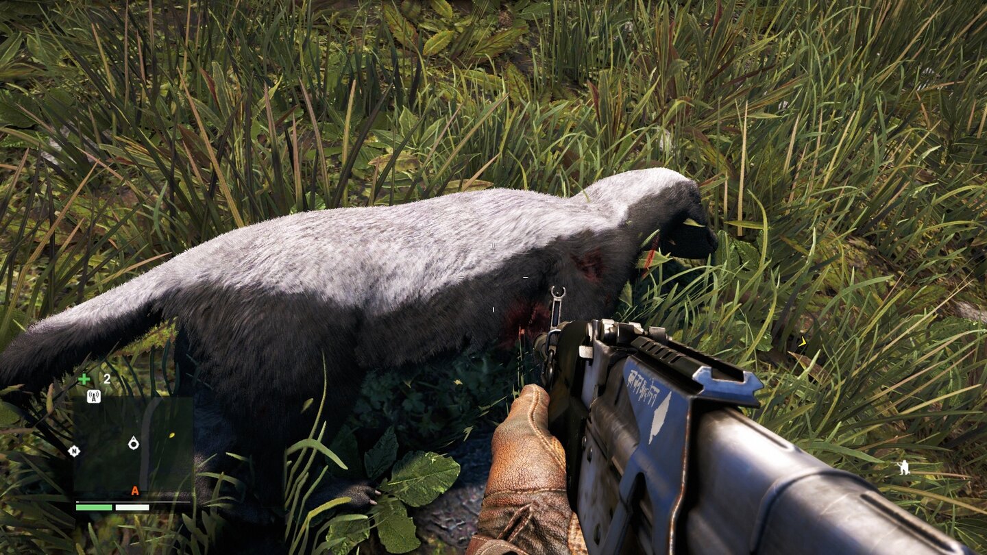Far Cry 4 - Fellsimulation Ein
