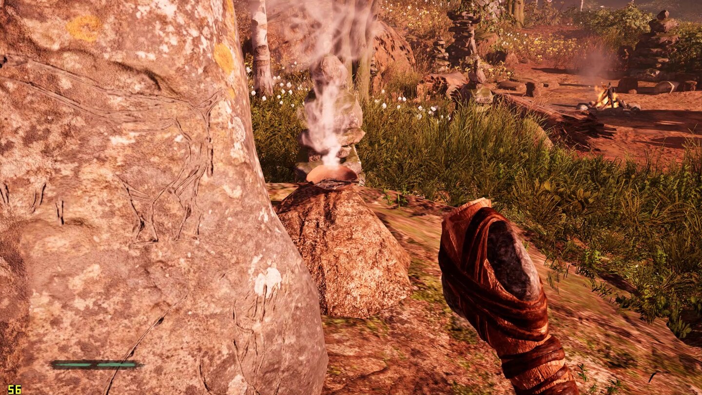 Far Cry Primal - Textures 2_Normal